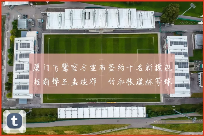 厦门飞鹭官方宣布签约十名新援包括前锋王嘉竣邓棽竹和张道林等球员